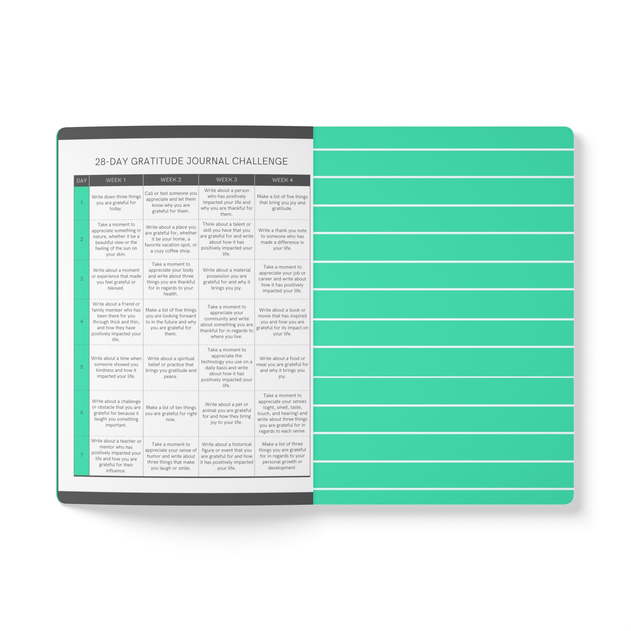 Faith-Driven Learning Softcover Journal