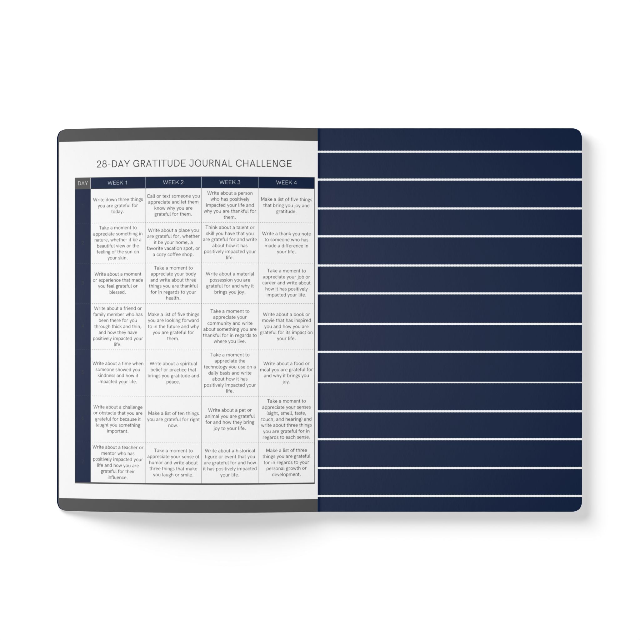 Godly Ambitions Softcover Journal